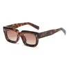 Gafas de sol Jamie 5205 con Montura Cuadrada Nueva, Gafas Decorativas de Plástico a la Moda, Gafas de Sol Pequeñas de Montura Tendencia Europeas y Americanas