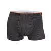 Roupas íntimas masculinas Xinjiang algodão boxers antibacterianos adolescentes plus size shorts boxer vitalidade cuecas atacado entrega