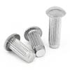 Remaches para Señalización de Cabeza Semiredonda de Acero Inoxidable 304 con Ranura Recta Remaches Sólidos para Señalización de Acero Inoxidable Moleteados Gb827