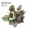 Hojas de Planta Simuladas, Hojas Persas, Plantas Verdes Artificiales, Paisajismo para Exteriores y Interiores, Materiales de Decoración para Arreglos Florales, Plantas Tropicales al por Mayor