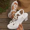 Sandálias femininas de comércio exterior 2026 novo estilo de verão, tamanho grande, fivela de metal, salto grosso, peep-toe, sapatos de salto alto modernos e confortáveis para mulheres