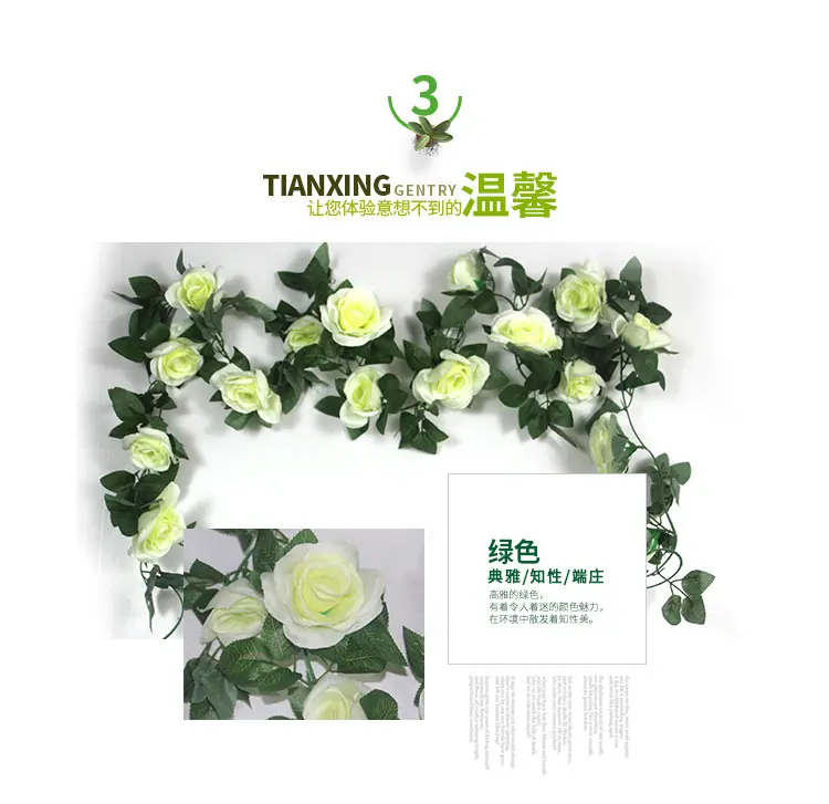 没参数详情_04