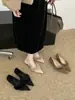 Novos Sapatos Pretos de Salto Alto com Bico Fino para Outono e Inverno de 2025, Estilo Sexy Maduro, Saltos Finos, Sapatos Peludos, Sapatos de Salto Baixo