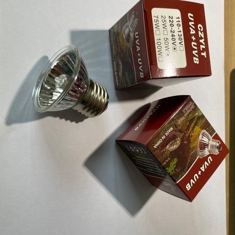2024-03-10 16:42:31.jpg