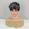 Venta Caliente Transfronteriza Pelucas Afro Rizado Pixie Rizado Europeo y Americano para Mujer Pelucas de Fibra Sintética Red de Rosa Venta al por Mayor desde Fabricante