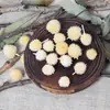 Materiais de Flores Secas Galhos Bolotas Pinhas Algodão Vagens de Lótus Jardim de Infância Artesanato Velas Aromáticas Fatias Decoração Adereços para Fotos
