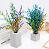 Marcapáginas de flores secas naturales con color absorbente de hierba del amante, marco de fotos con relieve, nomeolvides, flor eterna, decoración ornamental para el hogar.