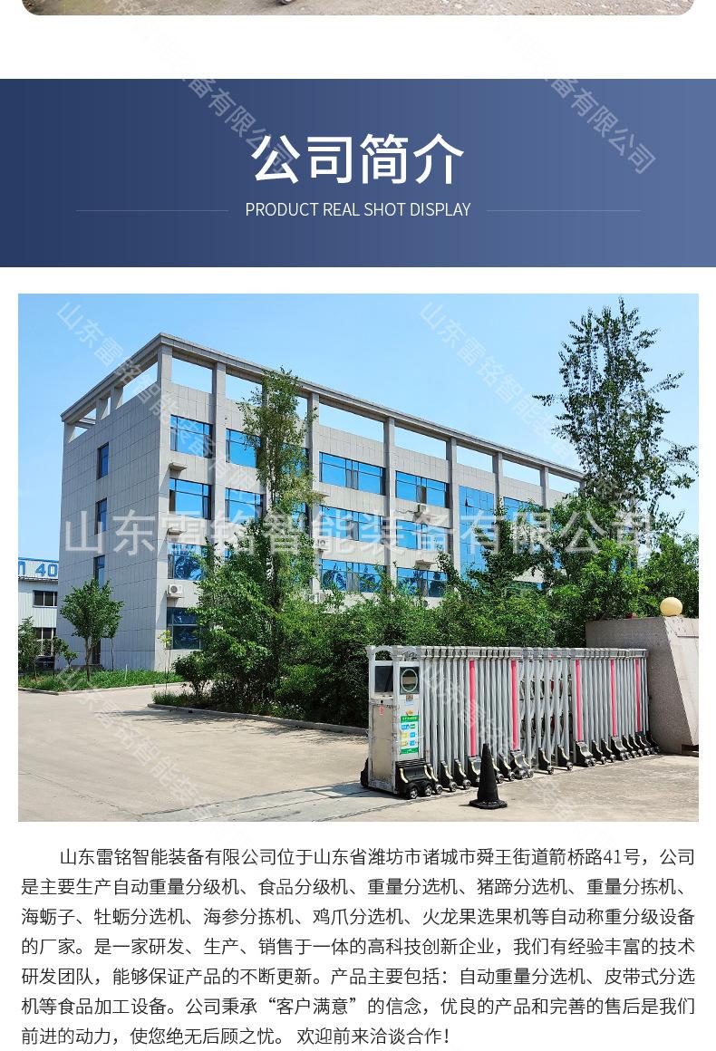 分选机2_08.jpg