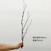 Ramas de Dátil de Dragón Artificial Transfronterizas, Decoraciones de Enredaderas Secas, Hojas Decorativas, Ramas Secas, Enredaderas de Interior, Ramitas, Ramitas Secas, Plantas Verdes