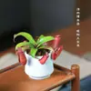 Plantas carnívoras en maceta, plantas cazamoscas, plantas repelentes de mosquitos para balcón interior, plantas verdes divertidas, macetas, plantas insectívoras