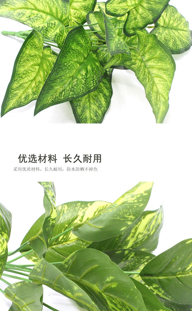 植物把束_09
