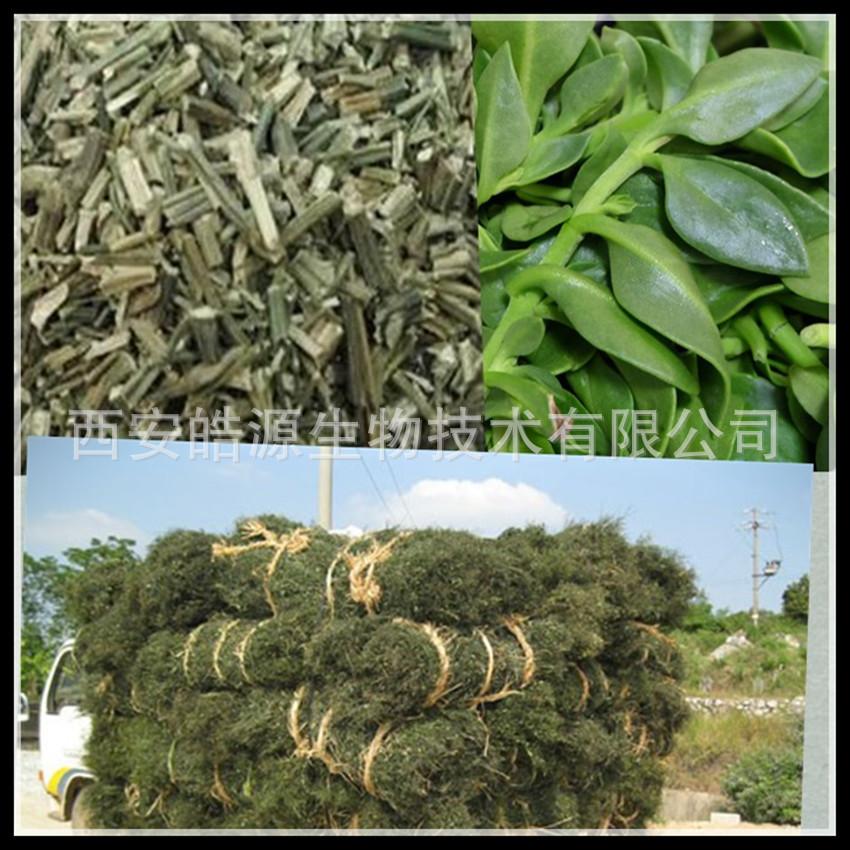 initpintu_副本