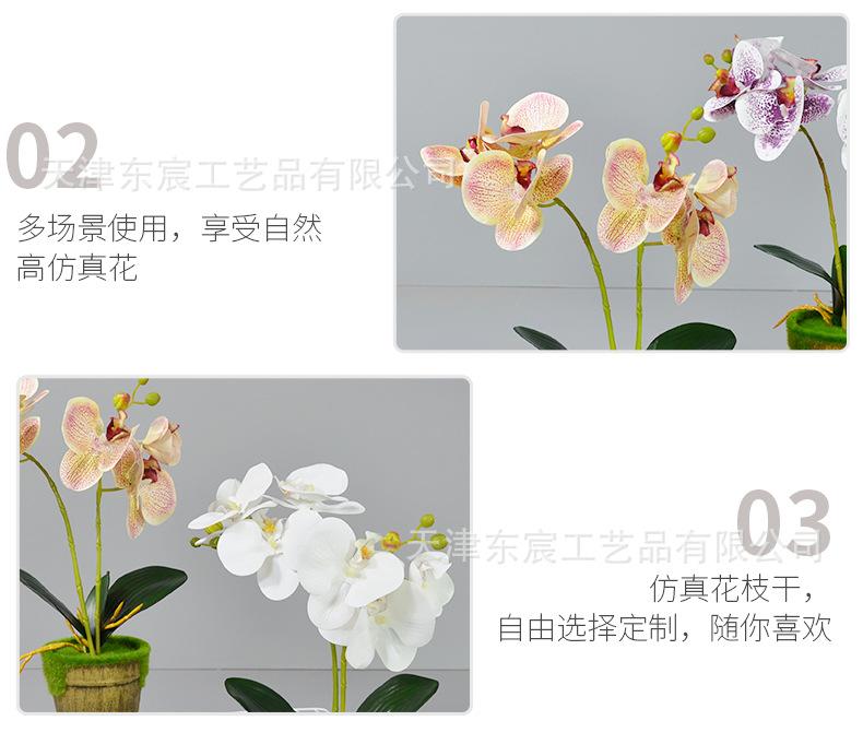 详情_08.png