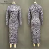 Vestido com Estampa de Leopardo Europeu AliExpress Cross-border E-commerce 2026 Estilo Outono/Inverno Manga Longa Bodycon Saia Feminino