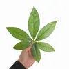 Folhas Simuladas, Galhos da Sorte Simulados, Folhas Individuais, Folhas Artificiais, Decoração de Cesta de Flores de Jardim, Adereços para Fotografia