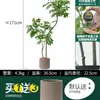 Habitat de folha de glicínia planta verde artificial alto padrão luxo leve interior sala de estar chão árvore falsa biônica planta em vaso