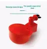 Tigela de água automática para aves, dispensador automático de água para galinhas, copo de água para galinhas, dispensador de água para galinhas