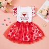 Venta al por mayor transfronteriza 2025 primavera y verano nueva ropa para niñas falda de princesa de malla falda chaleco de manga volada traje de dos piezas