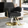 Cadeira de Cabeleireiro, Cadeira de Barbearia, Cadeira de Cabeleireiro Especial em Aço Inoxidável, Cadeira de Barbearia com Ajuste de Altura, Cadeira de Beleza para Corte de Cabelo