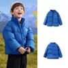 Roupas Infantis Balabala Jaqueta de Penas Infantil para Meninos e Meninas, Casaco de Inverno Três-Resistente para Bebê, Espessado e Quente, Gola Alta, Moderno e Legal