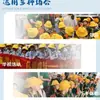 Sombrero Amarillo Infantil con Logo Impreso, Bebé de Guardería, Estudiante de Primaria, Sombrero Amarillo de Protección Solar para Salida de Primavera