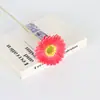 Flores artificiales personalizadas tipo nórdico de margarita africana para bodas, gabinetes de TV para el hogar, decoración de interiores de hoteles, textiles del hogar y arreglos florales
