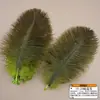 Accesorios de ropa de plumas de avestruz de colores materiales de decoración de bodas accesorios de plumas hechos a mano DIY decoración del hogar