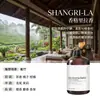 Recarga de Aceite Esencial de Aromaterapia Yulong Tea para Piedras Difusoras, Específicamente para Ambientadores y Difusores de Coche, Proporciona Fragancia Duradera