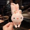 Broche Pinza para el Cabello de Animales de Dibujos Animados Lindos Doble Propósito Tocado Celebridad Cibernética Femenina Oso Liao Liao Pinza Superior Pinza para el Flequillo