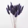 Comércio eletrônico transfronteiriço comércio exterior Amazon cor flor seca rabo de coelho grama atacado diy pequeno buquê vaso buquê