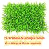Gramado de Eucalipto Simulada, Grama Artificial, Grama Plástica, Decoração de Parede de Plantas Criptografada de 308 Cabeças, Venda por Atacado de Plantas Verdes