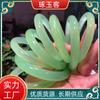 Pulsera de Calcedonia Verde Uva Hielo Pulsera de Calcedonia Verde Fruta Brasileña Pulsera Redonda de Calcedonia Verde para Mujer