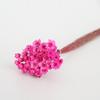 Caixa de presente com flores pequenas estrelas do Brasil, flores imortais, material floral, arranjo de flores secas para casa, adereços para fotos
