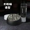 Tazón de Acero Inoxidable para Gato con Boca Inclinada Protección del Cuello Antivuelco Desmontable Tazón de Comida Dispensador de Agua para Mascota Perro Tazón para Gato