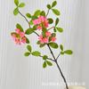 Isla de Planta Artificial Flor de Primavera Campana Colgante Hoja de Múltiples Pétalos Hoja de Madera de Caballo Estilo Ins Celebridad de Internet Casa de Huéspedes Decoración del Hogar Ramas y Hojas