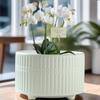 Maceta de cerámica al por mayor, estilo europeo mate con bandeja, especial para phalaenopsis, maceta para suculentas, entrega en una sola pieza.
