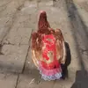 Delantal de silla de montar para gallinas de Amazon, protector de plumas, protector de espalda, delantal de silla de montar para gallinas de doble capa
