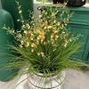 Orquídea Dançante de Simulação Decoração de Casa Orquídea Wenxin Flor de Simulação Amarela Orquídea Dançante Orquídea Aranha Adereços de Casamento