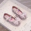 Zapatos de Cuero de Princesa Elsa para Niñas 2025 Primavera y Otoño Nuevo Estilo Niña Moda Punta Redonda Suela Suave Antideslizante Zapatos Individuales para Niños