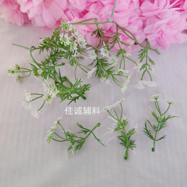 椰树-花 花白花.jpg
