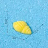 Conchas de resina, acessórios com tema marinho, decorações DIY em miniatura de resina para micro-paisagens, enfeites para capa de celular