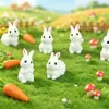 Transfronterizo nuevo creativo lindo conejito jardinería paisajismo DIY accesorios decorativos musgo micro-paisaje pequeños adornos
