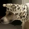 Sombrero Caliente de Invierno para Mascotas para Perros Pequeños Divertido Cachorro Gato Disfraz Perro Chihuahua Yorkies Gorra Sombrero mascotas Accesorios para cachorro