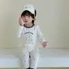 Venta al por mayor de pescado pequeño y caramelos de níspero, en stock, ropa de estar de algodón Lycra grado A, conjunto de ropa de otoño para niños (top y pantalones)