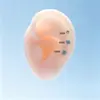 Aleación de Titanio Espiral Interna Fondo Plano Sensación de Alta Calidad Acero de Titanio Cuidado del Agujero de la Oreja Dormir Sin Quitarse los Pernos Pernos para el Cartílago de la Oreja Pernos para la Cóclea