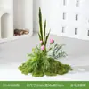 Flores Artificiales y Plantas Verdes Hy-Ay8 para Paisajismo, Arreglos Florales, Plantas Falsas para Decoración y Exhibición en Centros Comerciales, Escaparates de Tiendas y Hermosas Exhibiciones