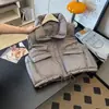 Chaleco Impermeable de Algodón Plumón para Mujer Chaleco Corto Versátil de Algodón Invierno Nuevo Chaleco sin Mangas Chaqueta Marea