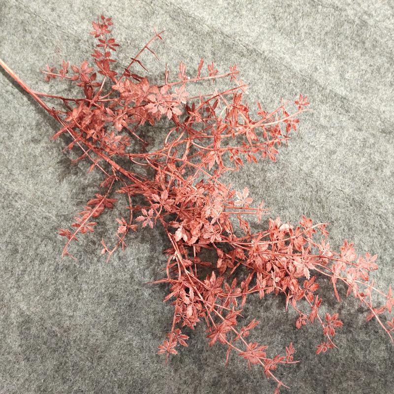 秋红色