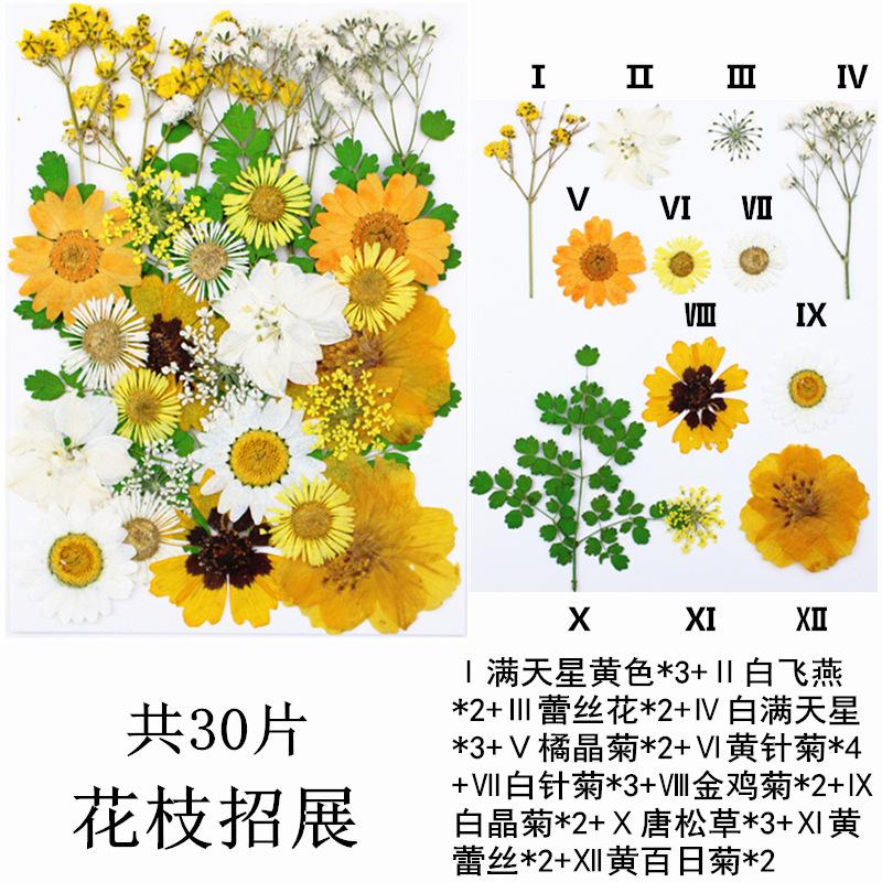 IMG_4175_副本_副本_副本.jpg