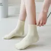 Calcetines Cortos de Color Sólido Color Dopamina para Mujer, Resistentes al Olor, Absorbentes de Sudor, Calcetines de Tubo Corto, Calcetines de Algodón al por Mayor, Industria del Calcetín Zhuji, Estilo Delgado
